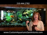 Listen To This Customer Rave About Her San Antonio Aquarium