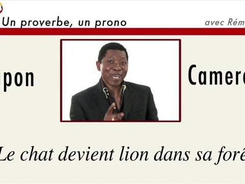 Un proverbe, un prono : Japon-Cameroun
