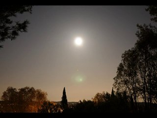 Skies in Motion Trailer 2010