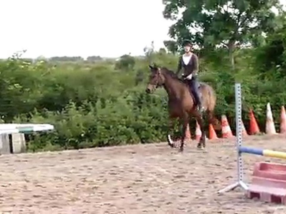 vendredi 11 juin 2010 (2) Silhouett plat