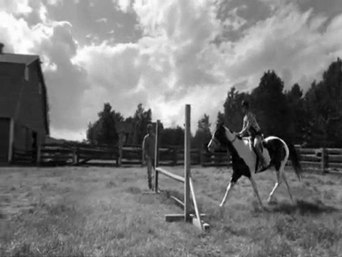 CSO et courses de chevaux