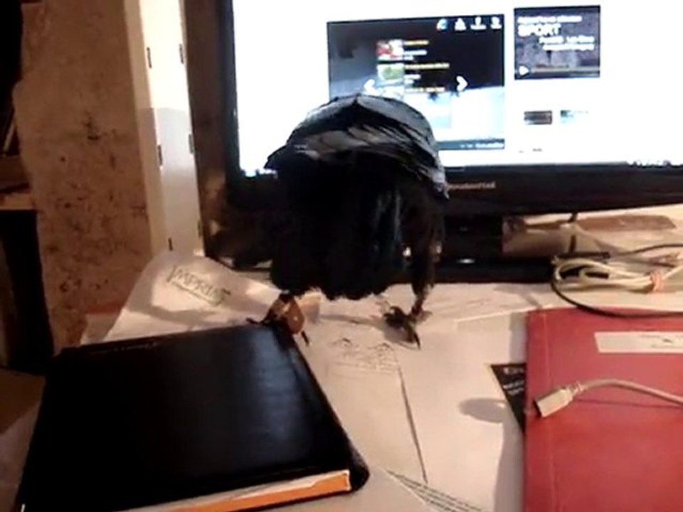 rangement de bureau