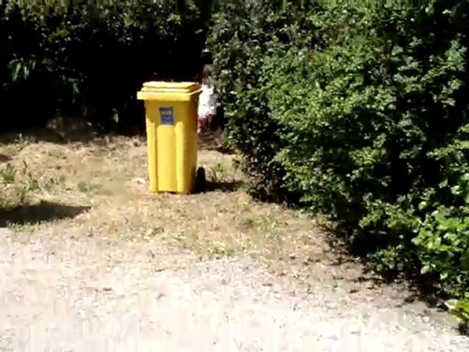 MOV00493