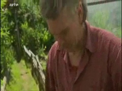 Le purin ou la guerre de l'ortie