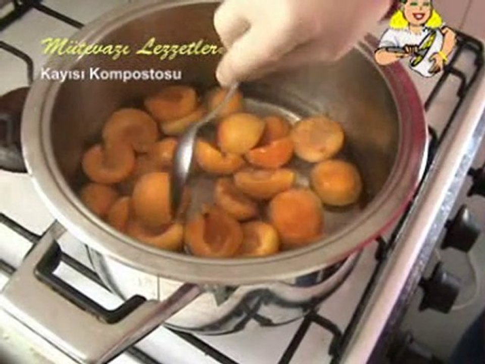 Kayısı Kompostosu
