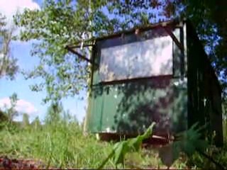 S&W 586 6" bronzé : petit test plinking à 10 mètres