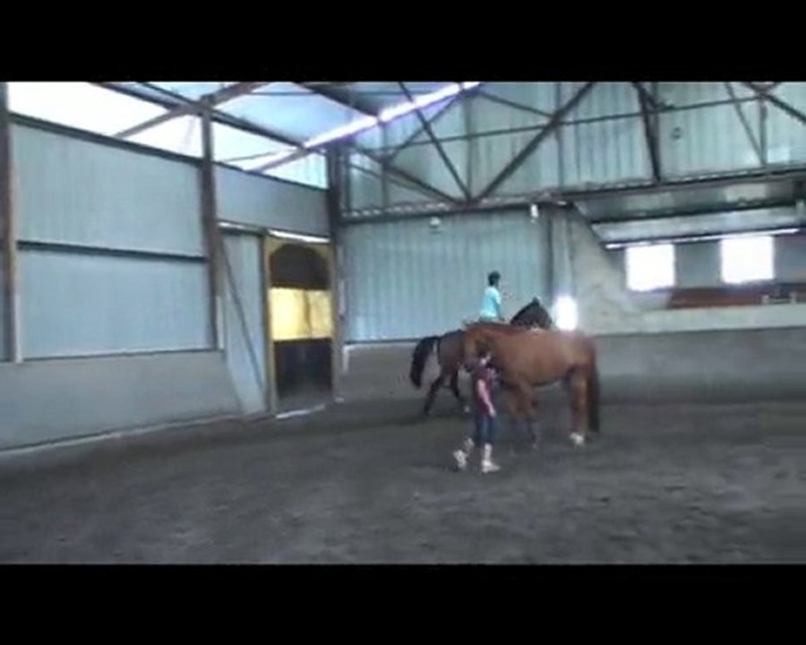 Einstein Z - Juillet 09