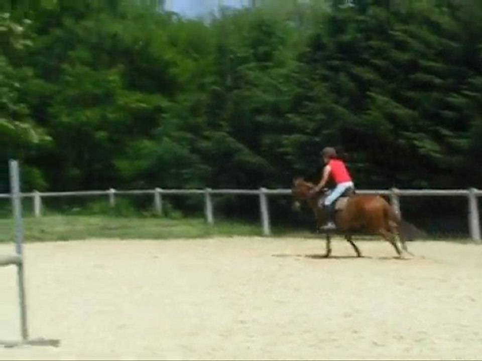 Obstacle avec Elvira 5 Juin- Montage