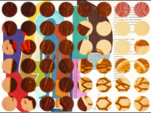 Evariste - Connais-tu l'animal