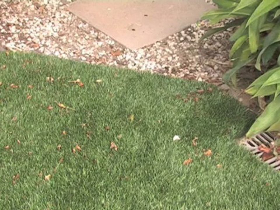 Lawn Supplies Glen Waverley Scapeworks (Vic) Pty Ltd VIC