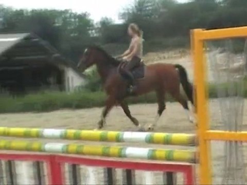 Gunfire 1ère séance obstacle la roche 9 juin