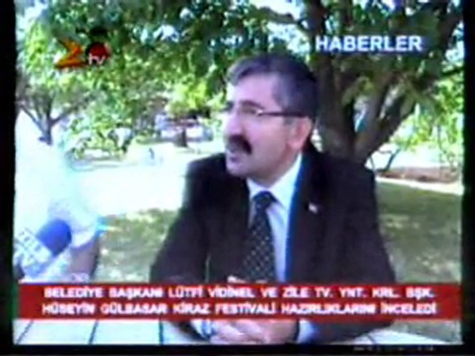 vidinel
