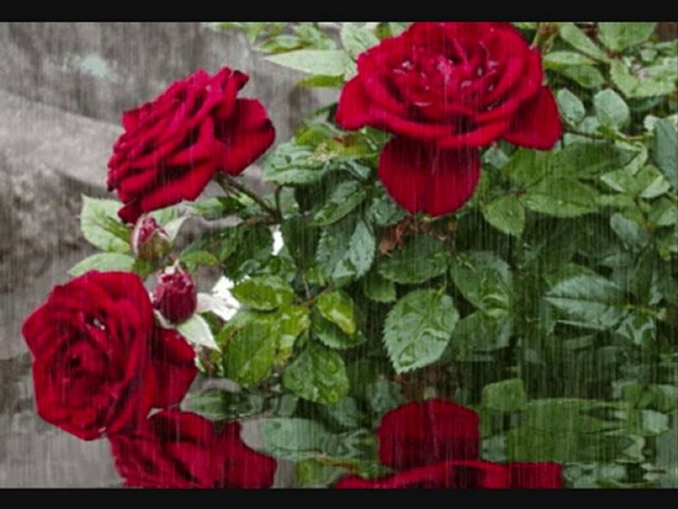 KAÇ MEVSİMSİZ KAR DÜŞTÜ TOPRAĞIMA