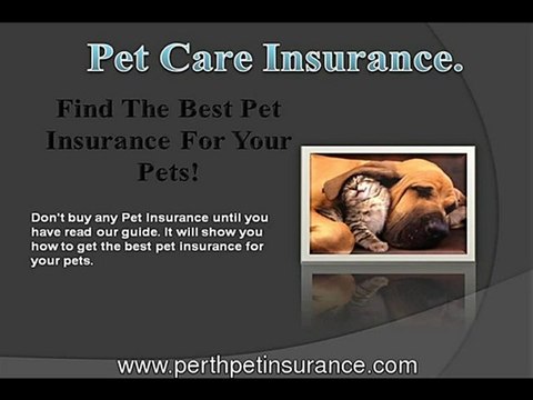 Get The Best Pet Care Insurance In Perth For Your Pets Heal
