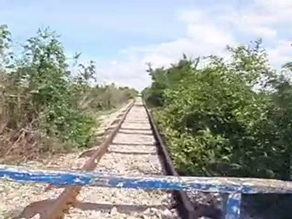Bamboo train 2