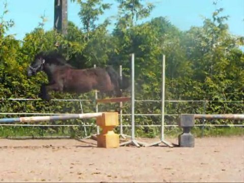 Saut en liberté / Mai 2010.