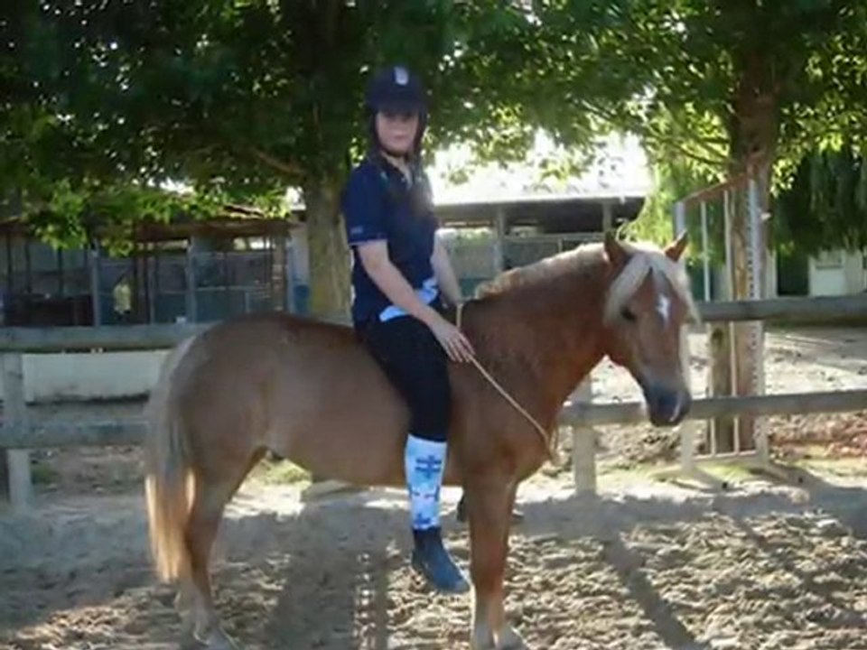 Année 2010 avec Ma Prévouille