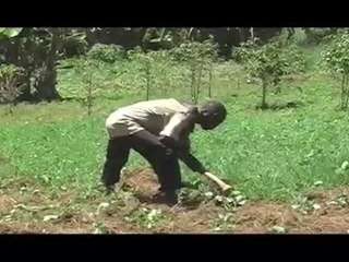 Solidarités International en RDC (Mahagi)