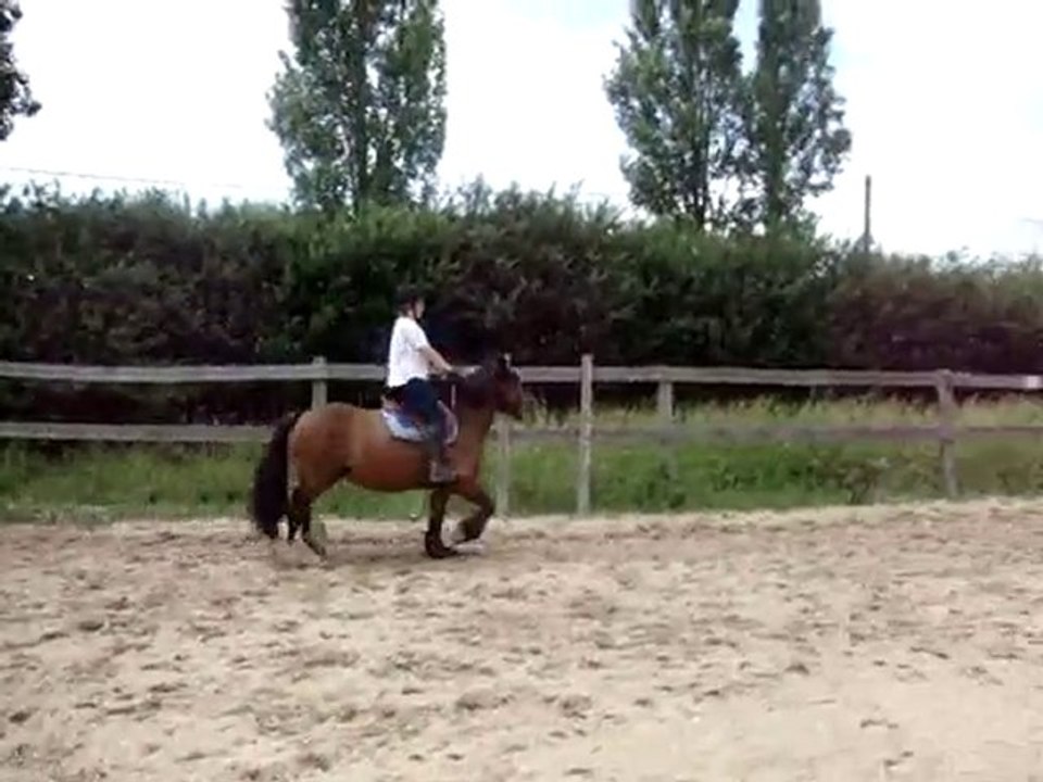 Feeringa bosse un peu