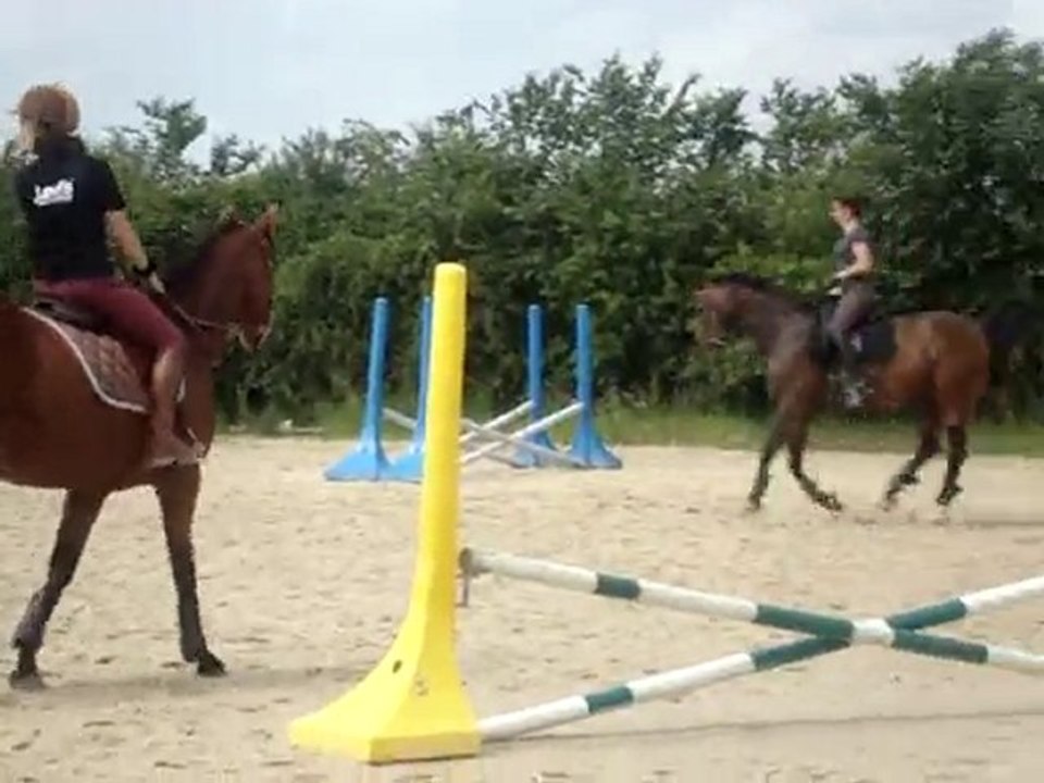 Piebald et Julien, tranquilou