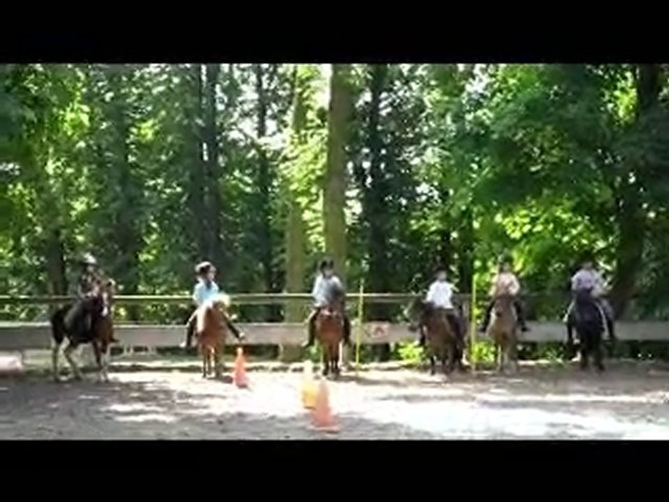 GALOP