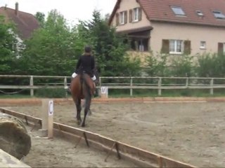 concours de dressage 02052010_0001