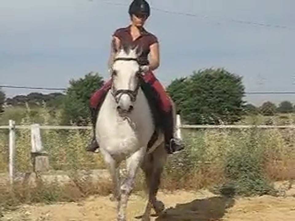 Patentado