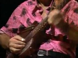 THE VENTURES - Paint it black