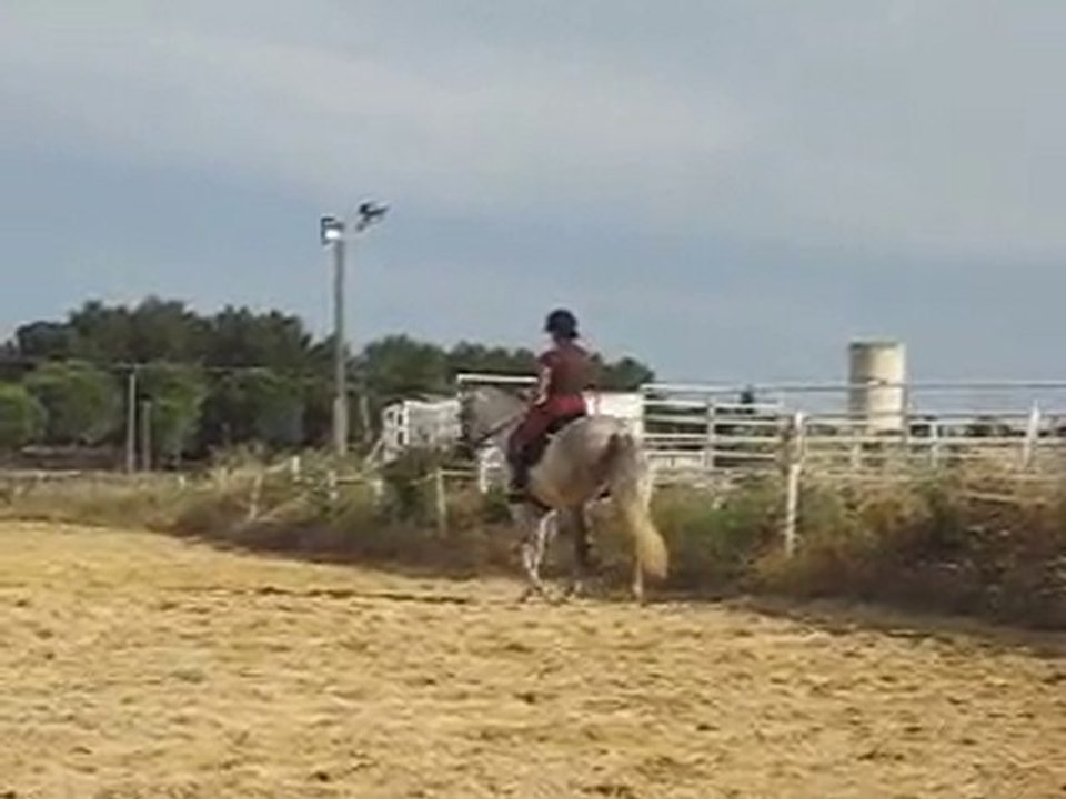 Patentado 2
