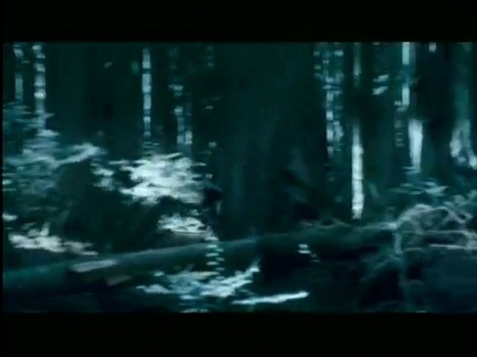 Clip Ravine Chase