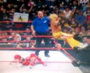 Springbock moonsault