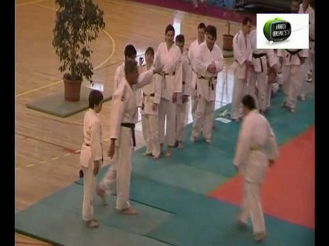 60ème anniversaire judo club annecy 12-06-2010