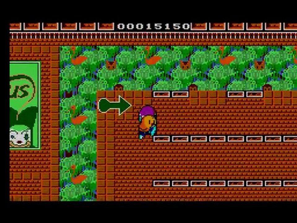 The New Zealand Story (Master System)