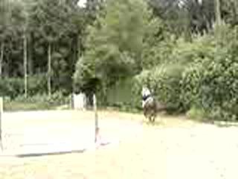 Céline et Spirit