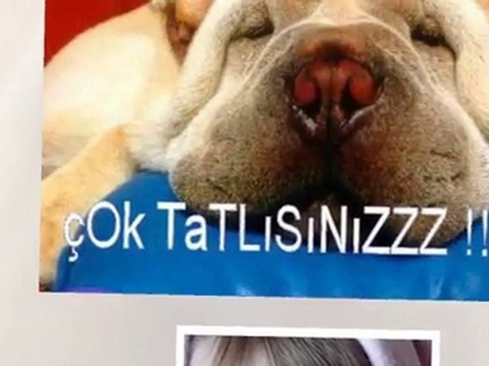 moldova eurovision runaway