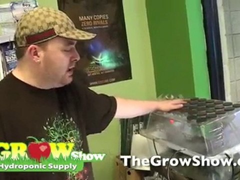 EZ Clone Instructions