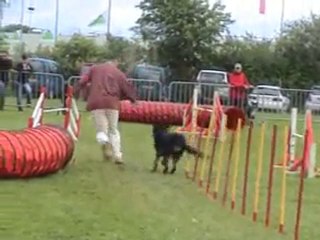 2010_05_30 Thoiry agility Jumping & KO des mamans