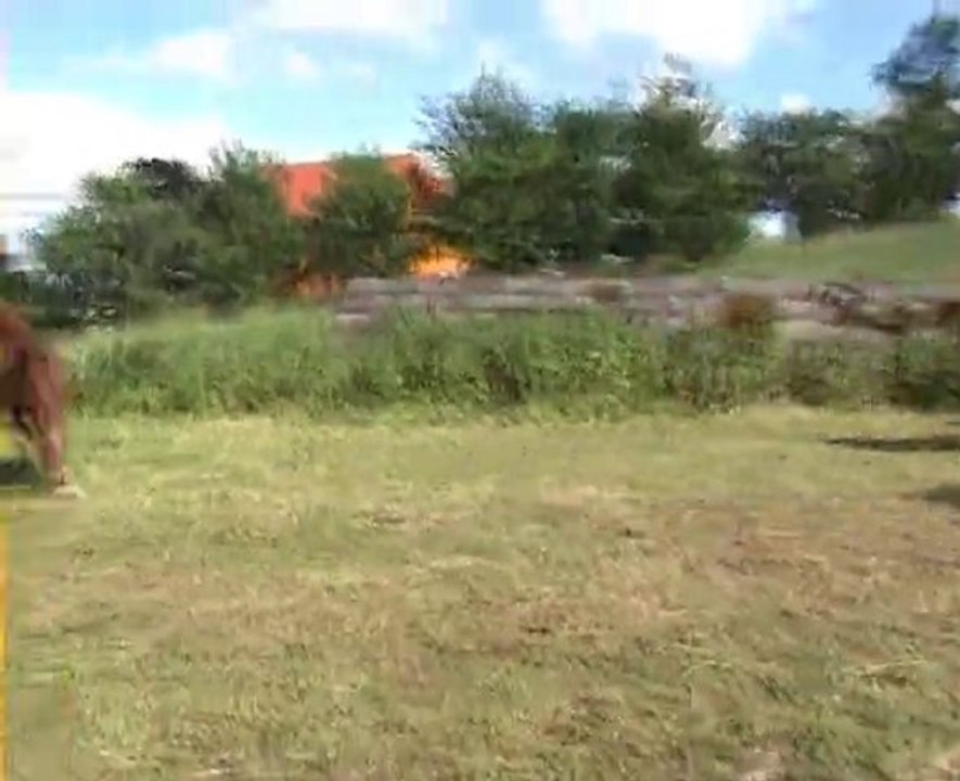 Uweyv Juin 2010 2010_06_12_22_11_13