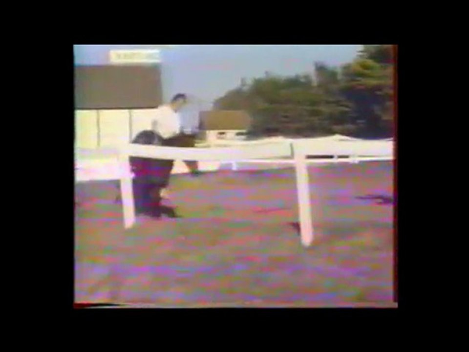 Les 30 ans de L'Etrier de Riva (1989)