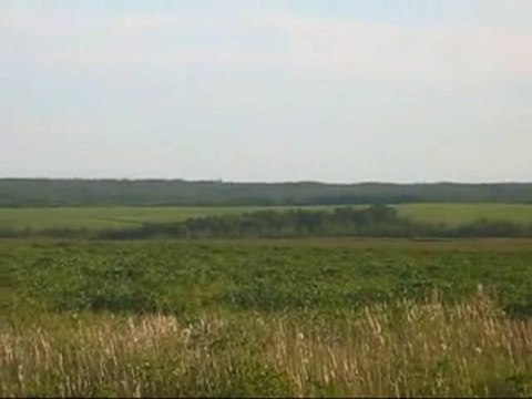 ufo.(prés d un crop cercle)canada.2010