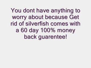 Get Rid Of Silverfish Professionally