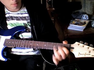 the cranberries "animal instict"