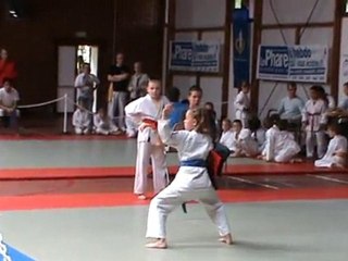 coupe du samourai 12062010 TETEGHEM