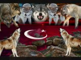emin Azeri Kizi Günel Biz Iki Devlet Bir Milletiz Turkspace