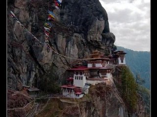 çal başına sevdanı