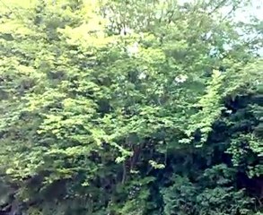 سفره حوله الرين في بون 3