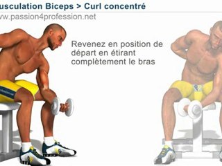 Curl concentré, biceps