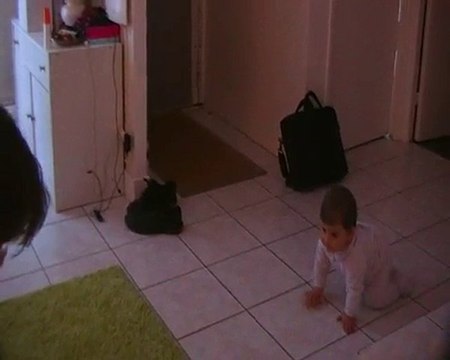 Les premiers pas............................... à 4 pattes