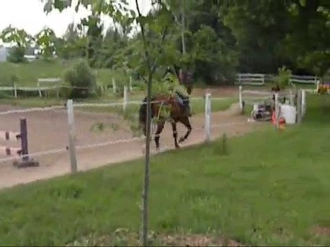 Parcours 3 obstacles avec Coco :)