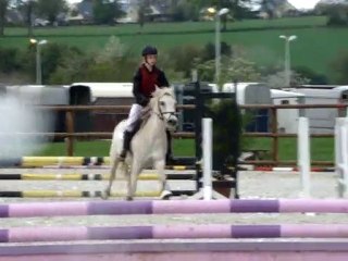 Poneys Sous Les Pommiers 2010